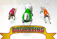 Dog Racing